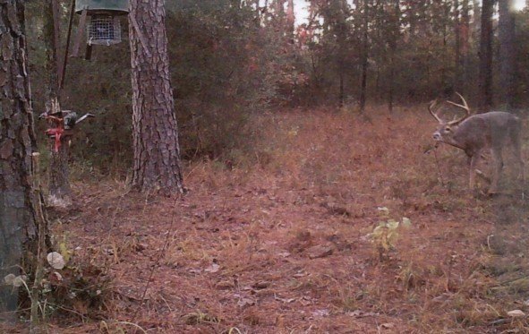 Picture 28