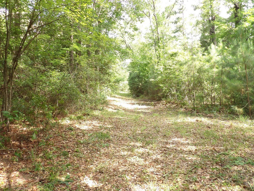 Picture 12