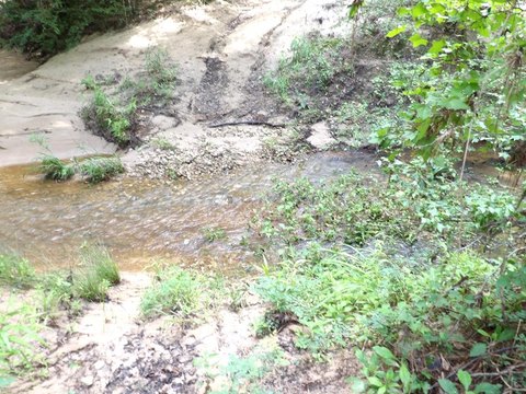 Recreational Land Bordering National Forest