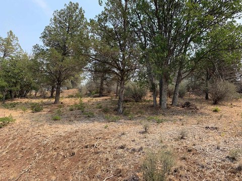 Land in Klamath River Estates