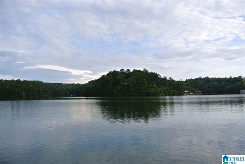 LAND - WEDOWEE, AL