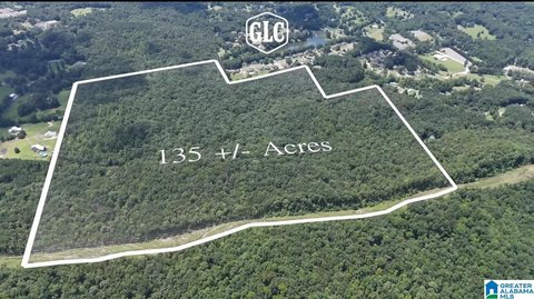 LAND/LOTS, SPRINGVILLE, AL