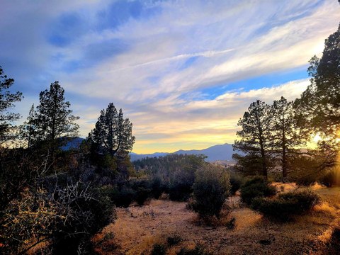 LOTS/LAND, Montague, CA