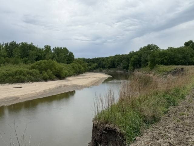 Picture 36
