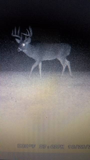 Picture 20
