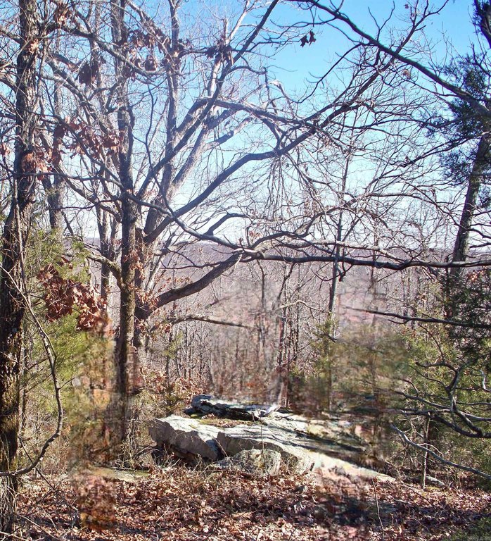 Picture 4