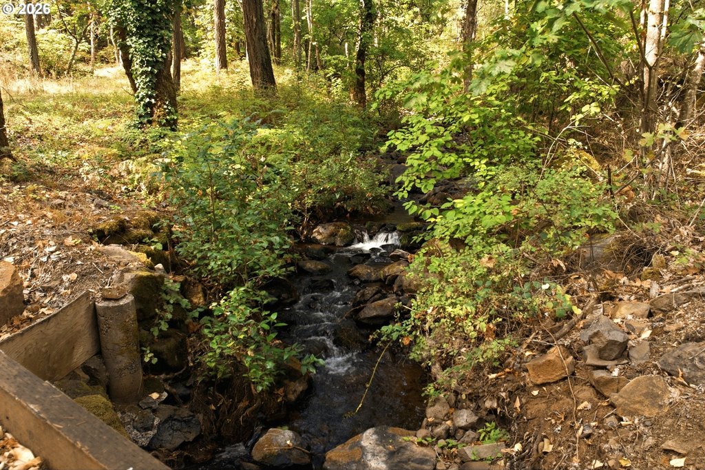 Picture 26
