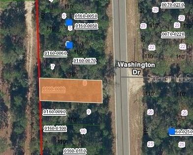 Land in Hawthorne, Florida