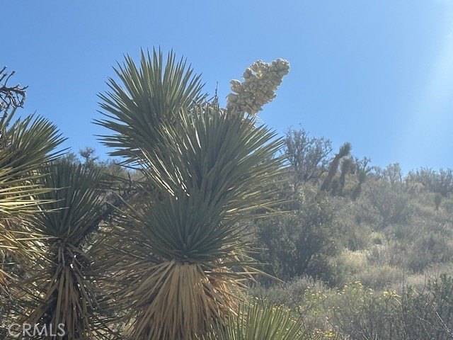 Picture 3