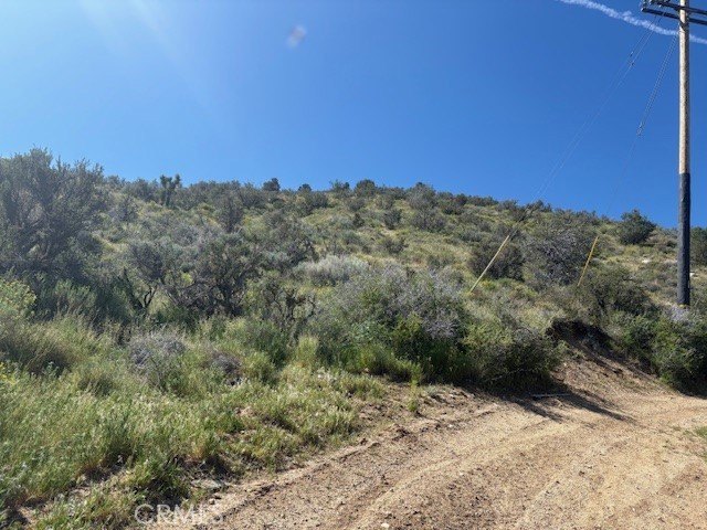 Picture 11