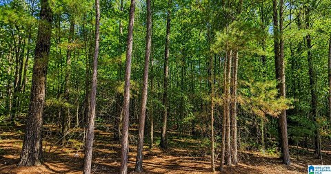 LAND - MCCALLA, AL