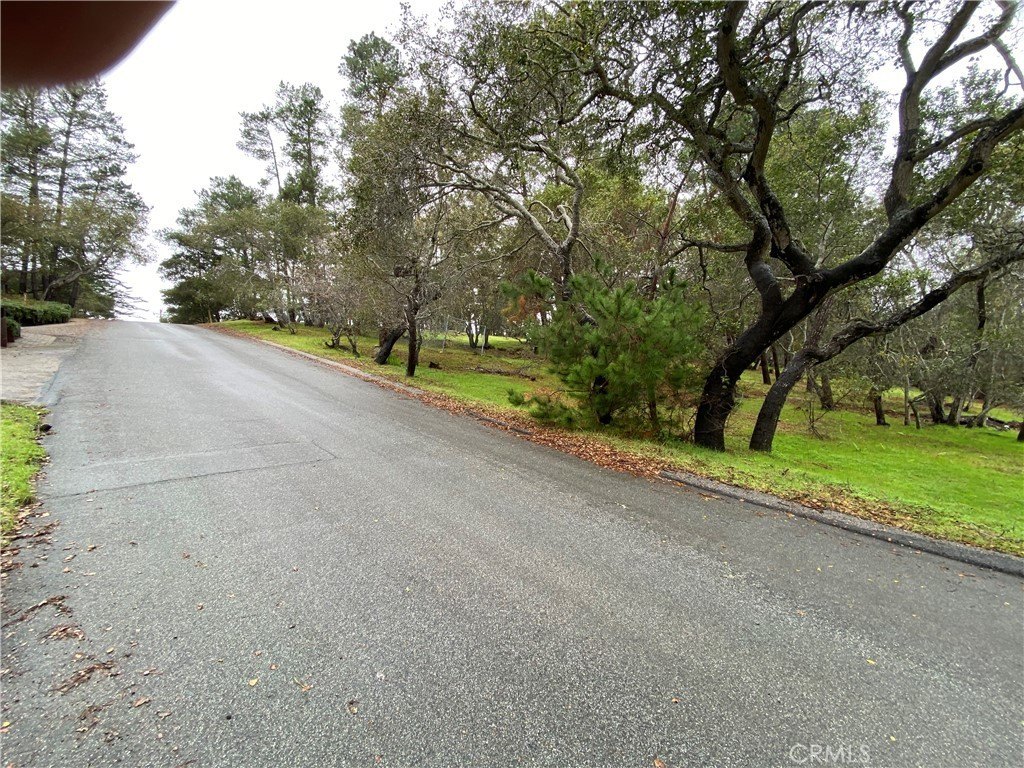 Picture 15