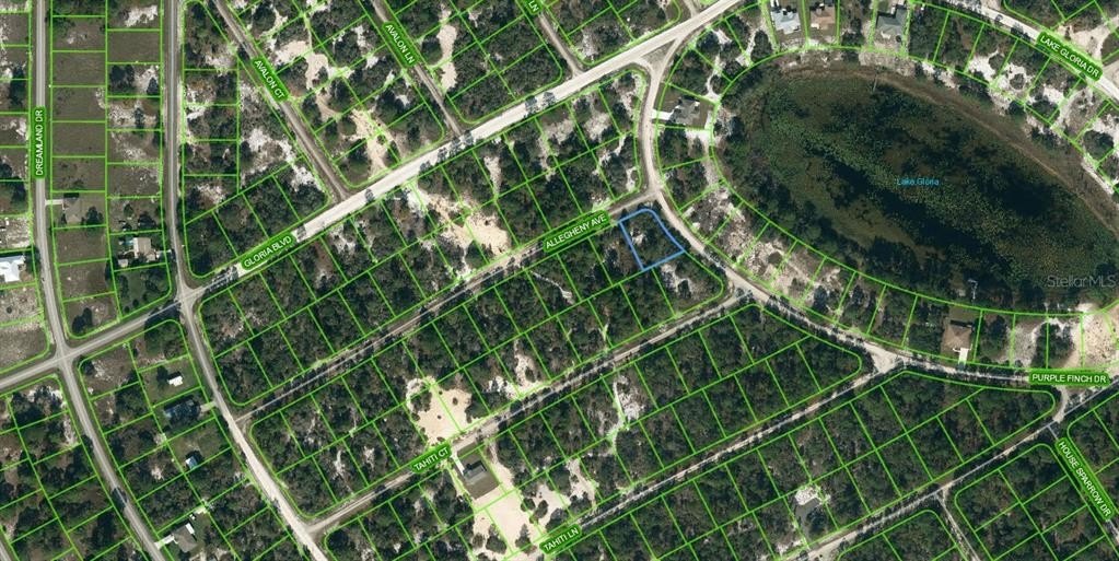Land in Lake Placid, FL