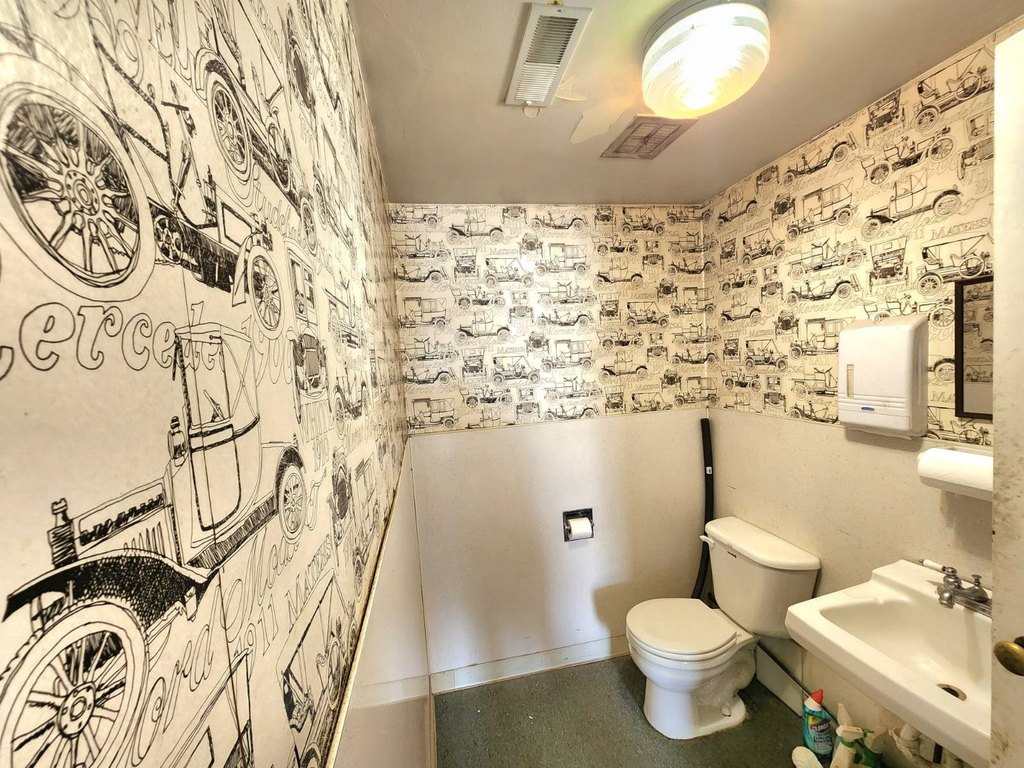 Picture 19