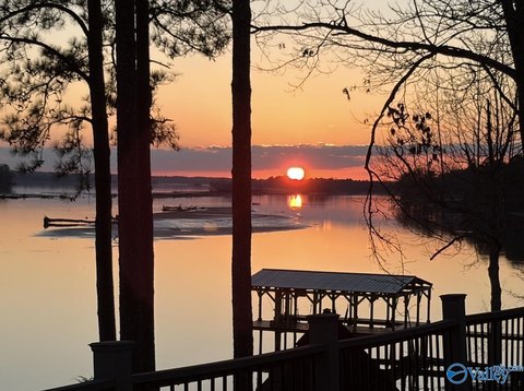Land, CEDAR BLUFF, AL