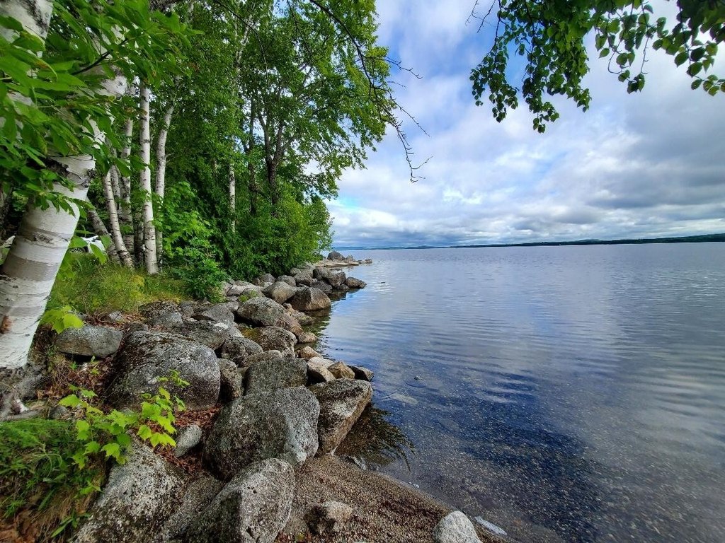 Picture 27