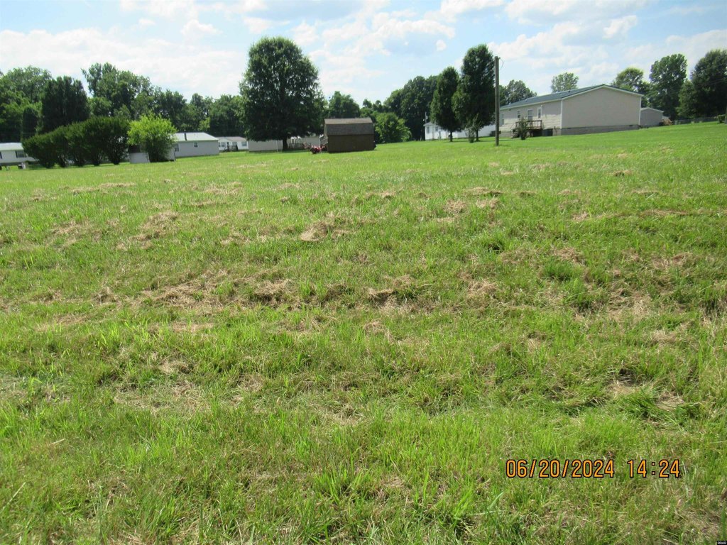 Picture 2
