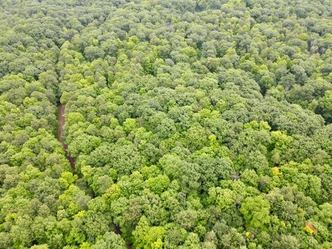 Land, Gleason, WI