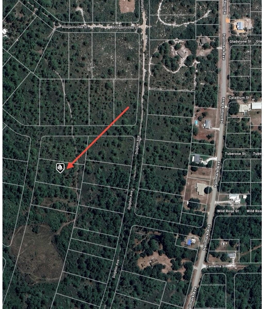 Residential Land Near Lake Istokpoga