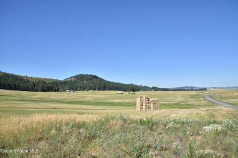 LAND - Plummer, ID