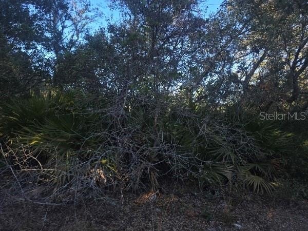 Picture 4