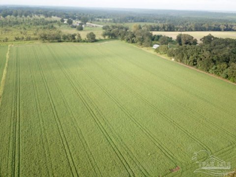 Agricultural Land in Santa Rosa