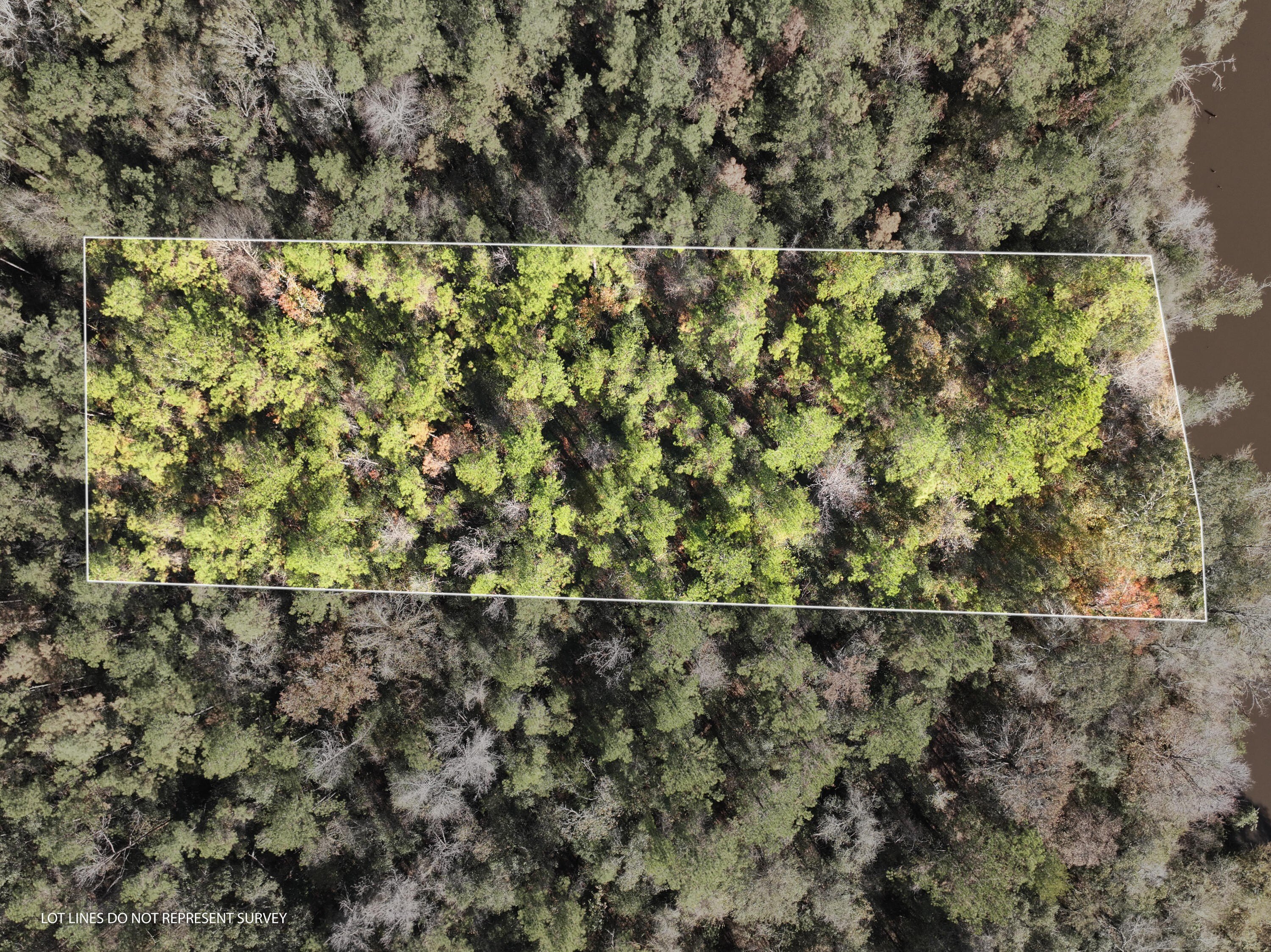 Leaf River Waterfront Acreage