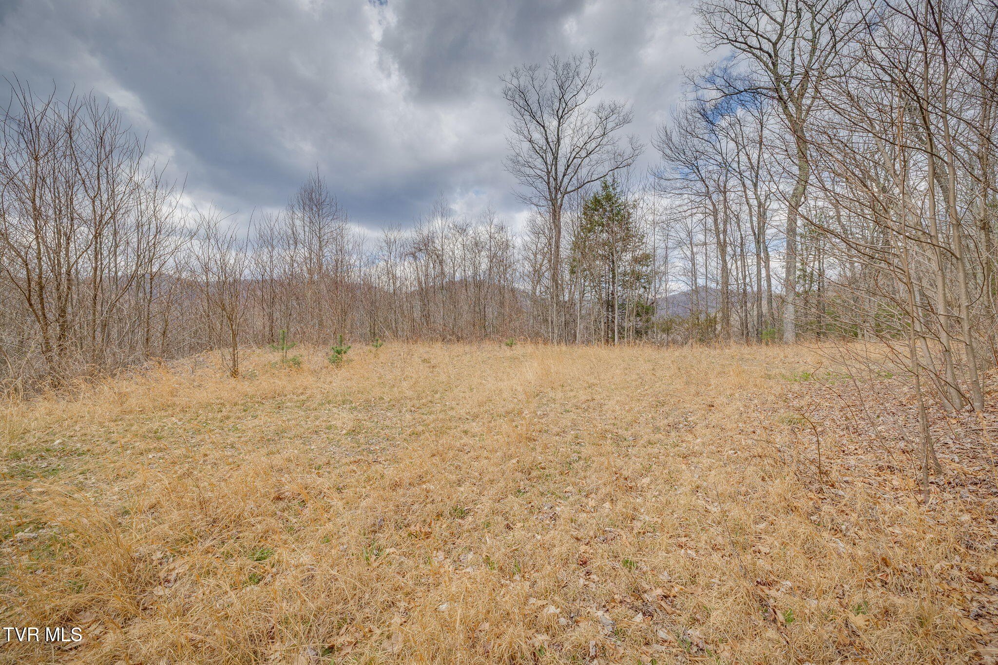 Mountain View Land in Heartwood
