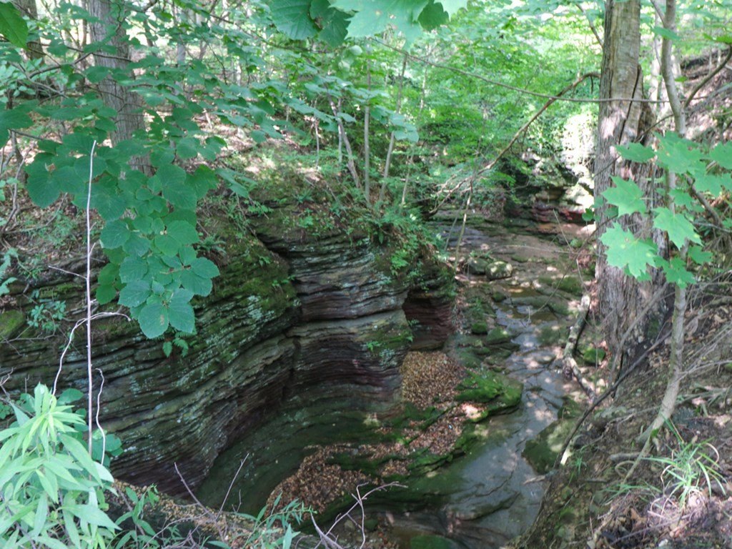 Picture 63