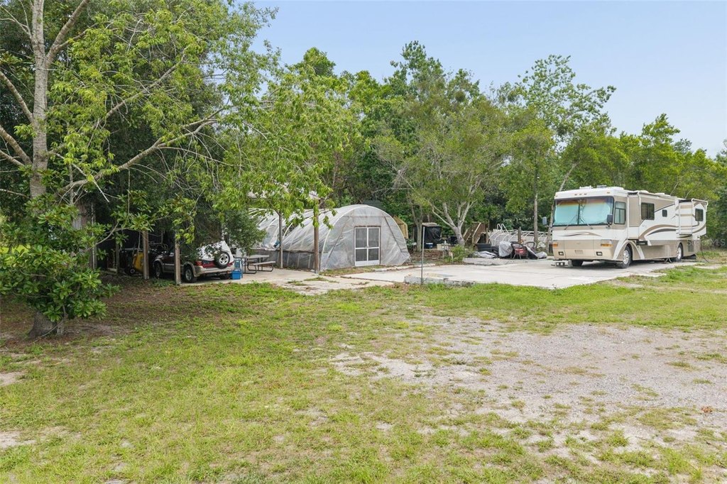 Picture 19