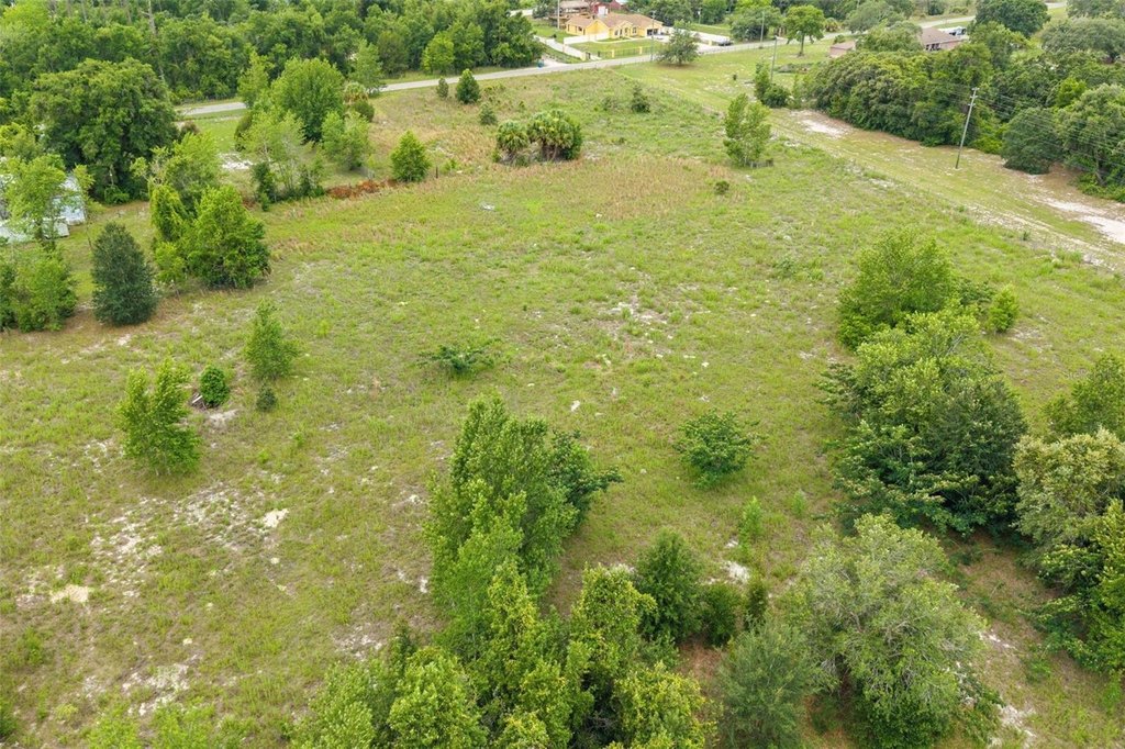 Picture 8