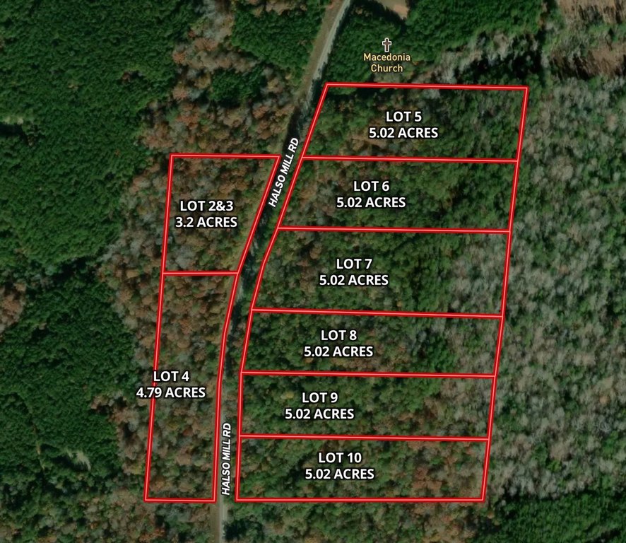 Picture 3