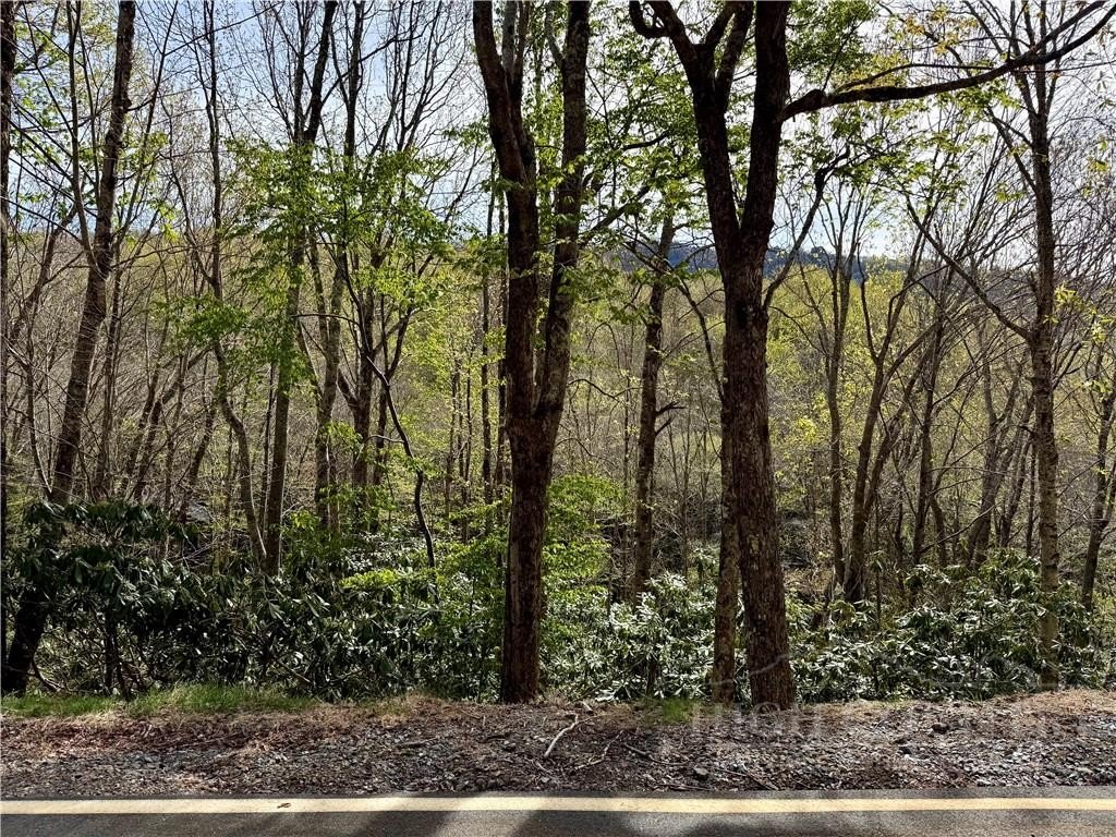 Beech Mountain Land For Sale