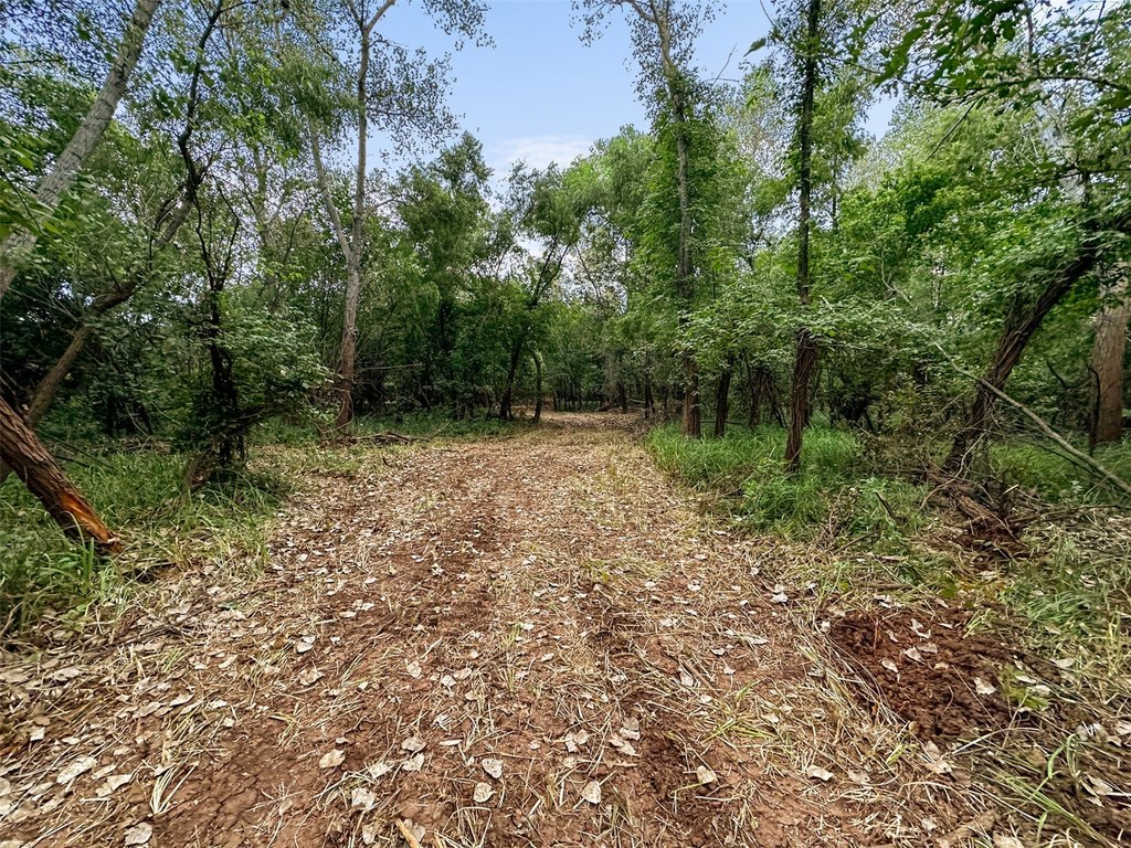 Picture 22