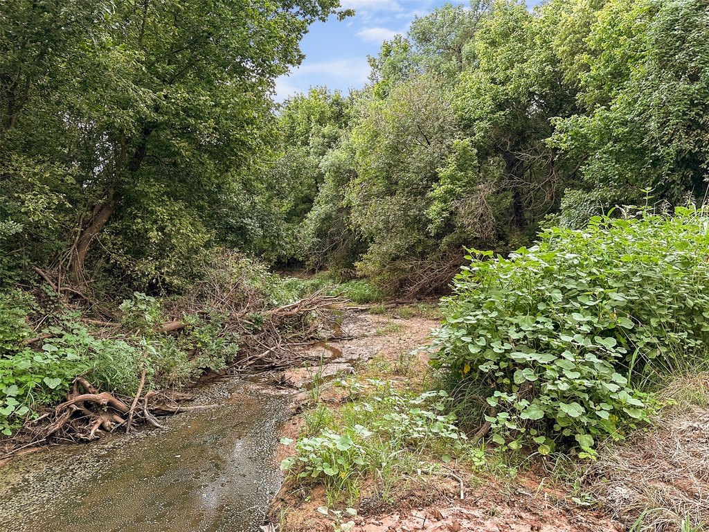 Picture 20
