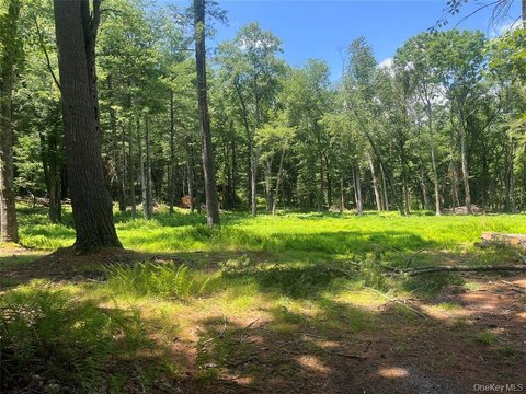 LAND - Glen Spey, NY