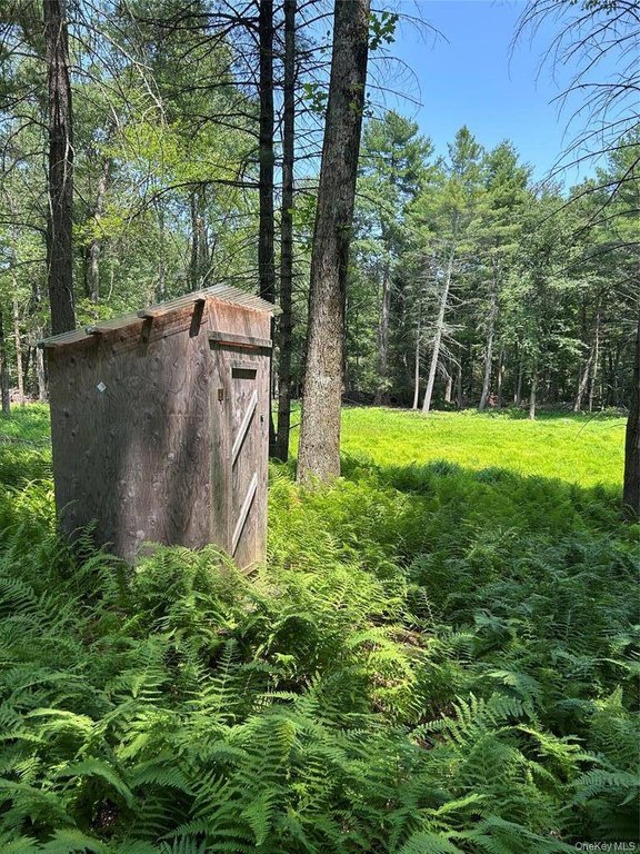 Picture 6