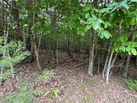 Wooded Lot in Galax, VA