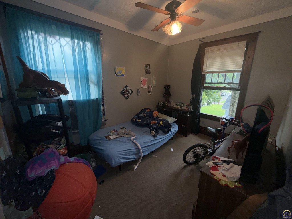 Picture 32