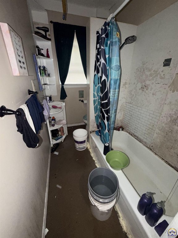 Picture 31