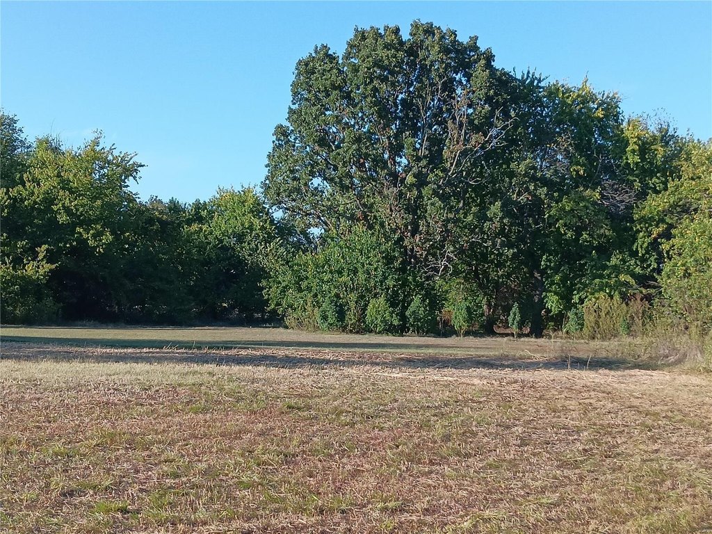 Picture 18