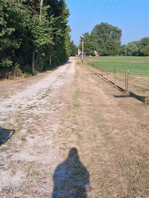 Picture 30