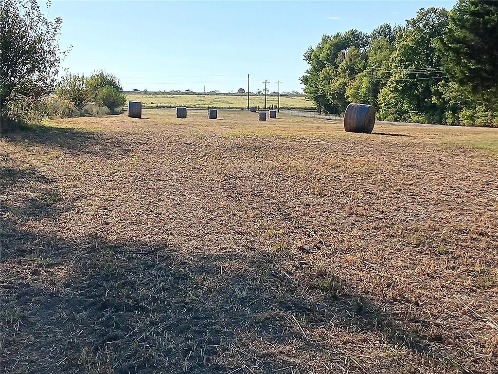 Picture 15