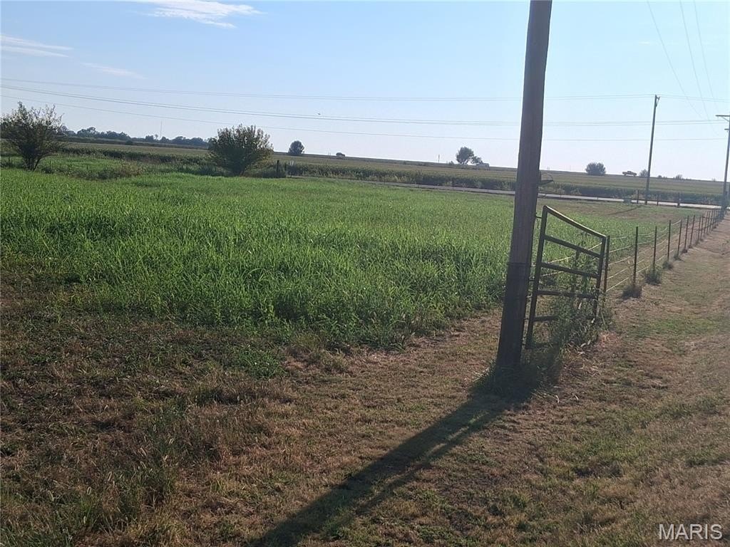 Picture 5