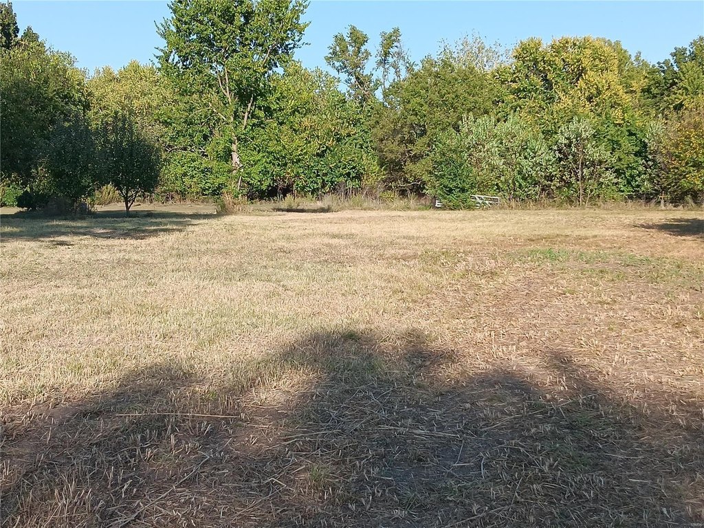 Picture 19