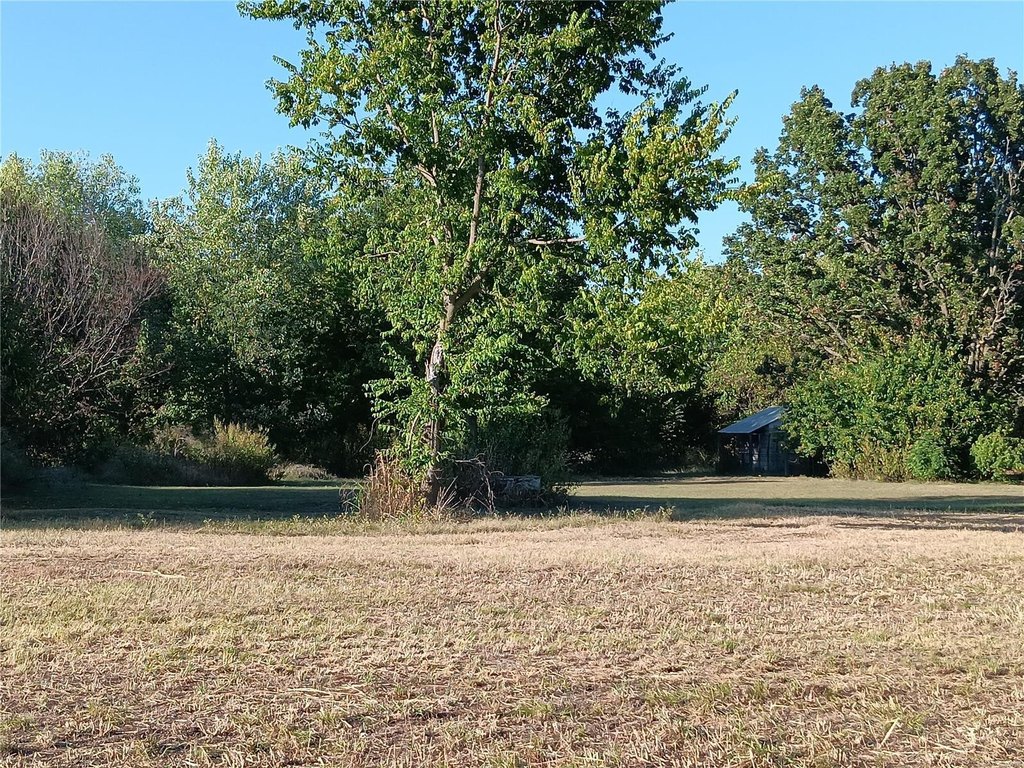 Picture 17