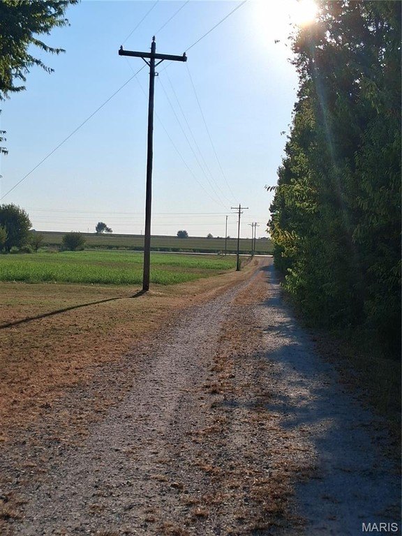 Picture 29