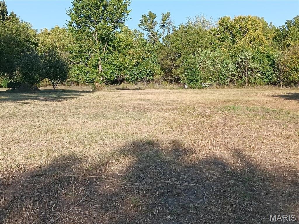 Picture 25