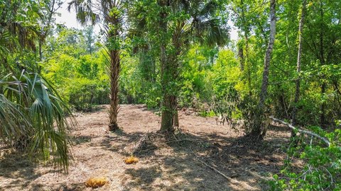 Residential Land Lot with Privacy