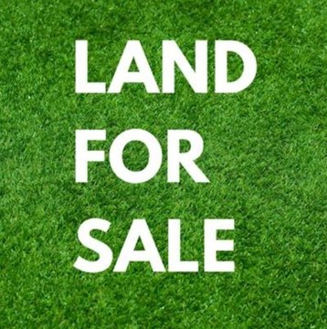 Maceo, KY Land Opportunity